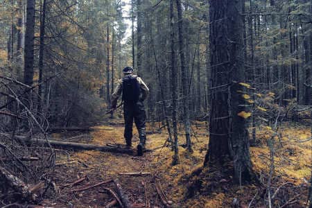 Купить диплом Егеря, лесника в Красноярске