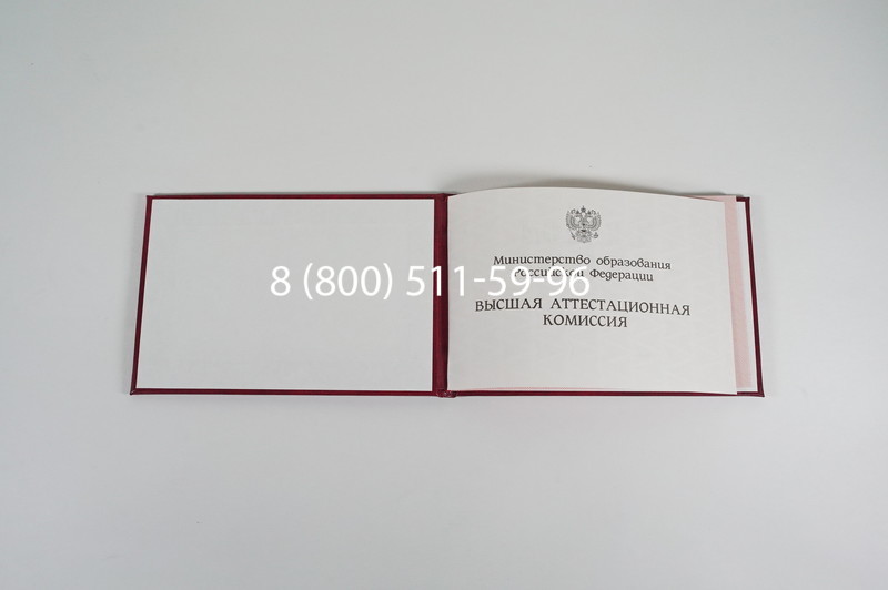 Диплом доктора наук 1995-2006 года в Красноярске Диплом доктора наук 1995-2006 года в Красноярске