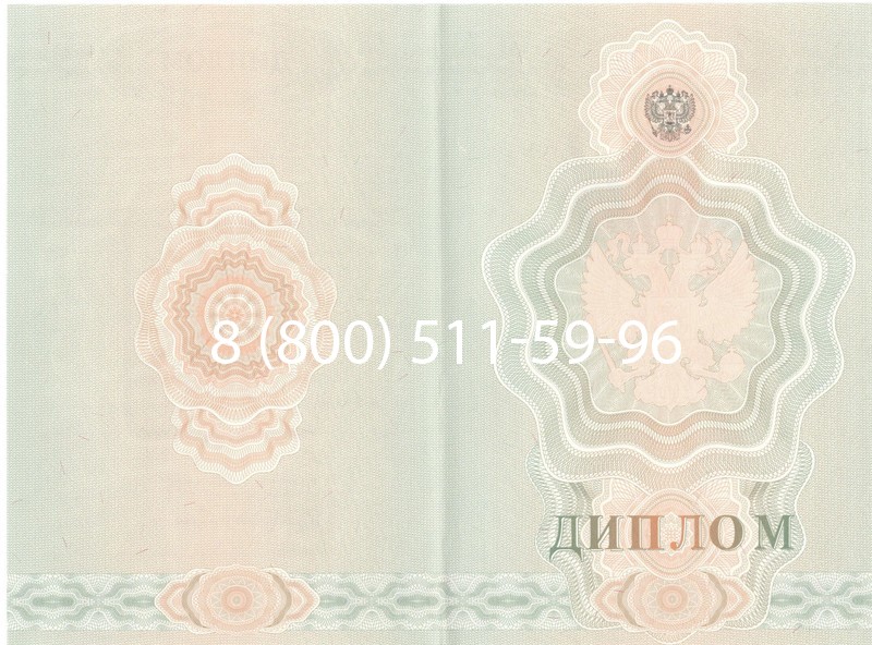 Купить Диплом училища 2007-2009 годов в Красноярске